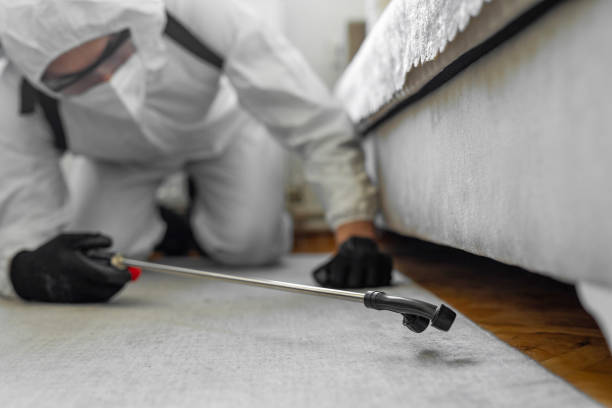 Professional Termite Control technician working in Uhland, TX