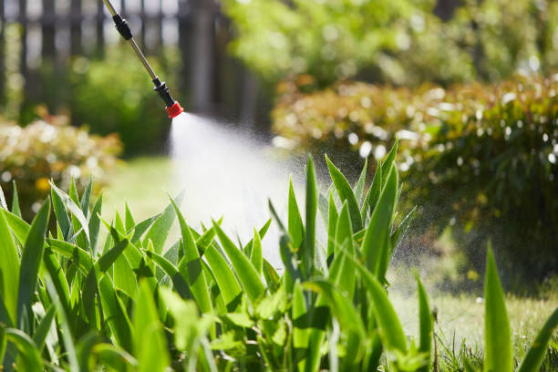 24/7 Emergency Termite Control experts in Uhland, TX